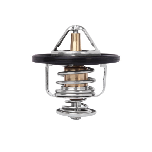 Performance Thermostat 76C 169F