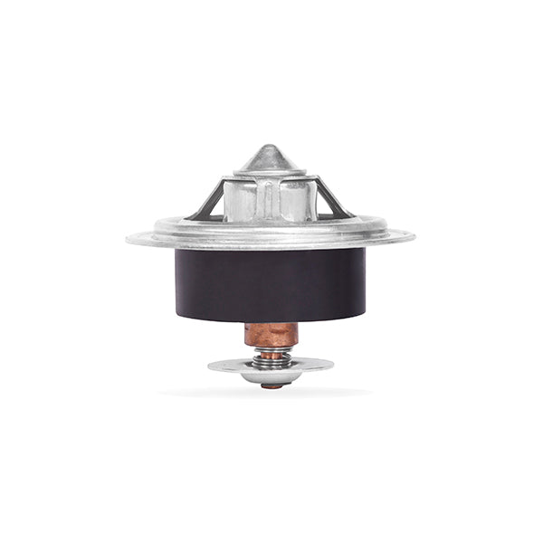 Performance Thermostat  79C 174F