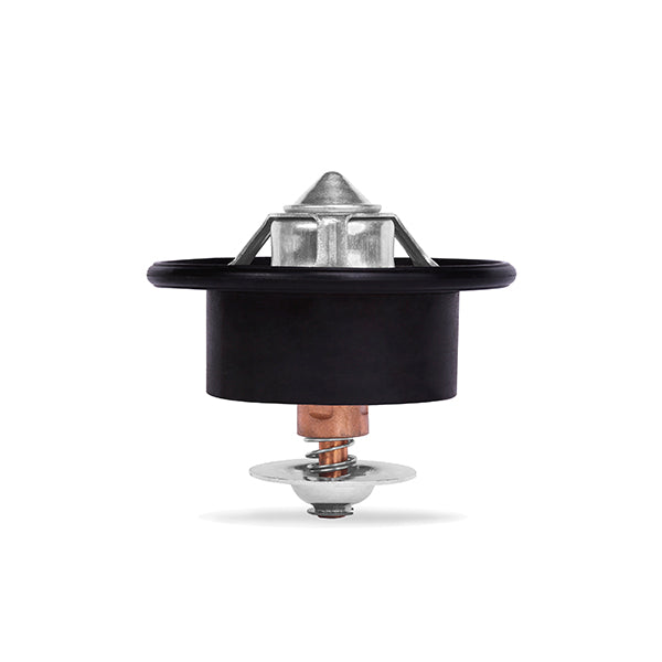 Performance Thermostat  96C 205F