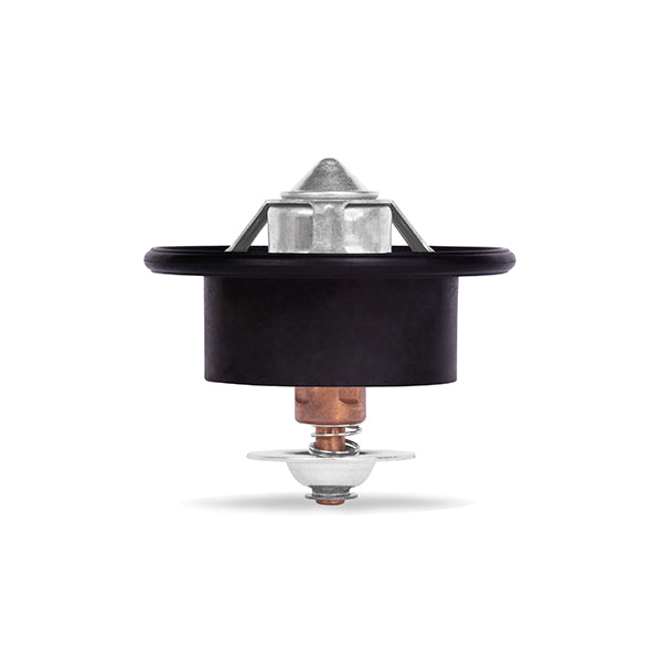 Performance Thermostat  82C 179F